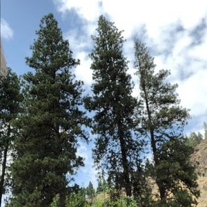 Meet your Posher, Ron